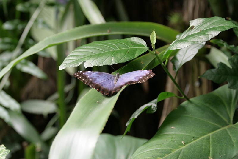 Fotoclubje Blijdorp 2008-81.jpg